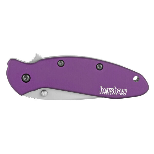 Kershaw, Scallion, 2.4", Assisted Folding Knife, Clip Point, Plain Edge, 420HC/Satin, Anodized Aluminum, Thumb Stud/Pocket Clip, Purple